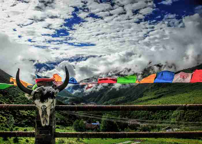 成都租车，我为什么总选传祺M8？老司机告诉你这车有多巴适-第1张图片-成都租车公司